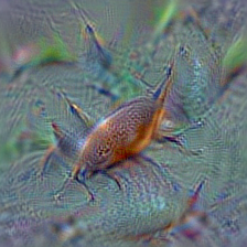 n01944390 snail